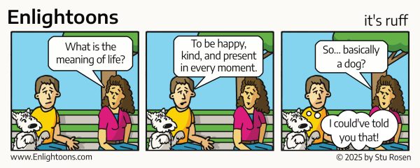 Enlightoons-Meaning-What